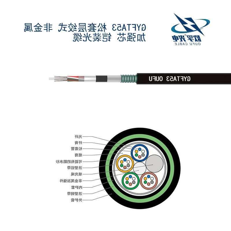 欧孚GYFTA53光缆 直埋光缆gyfta53高清图